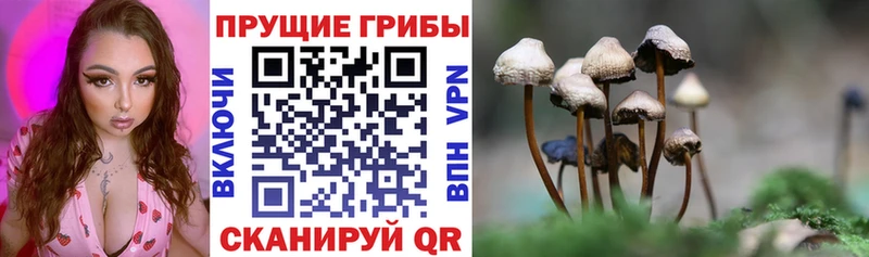 Купить закладки Ишимбай Псилоцибиновые грибы прущие грибы